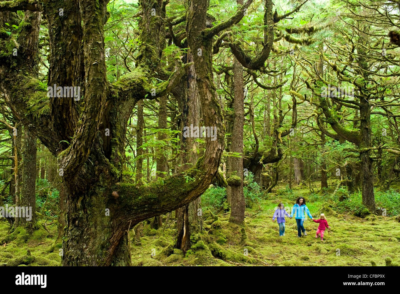 Mother and daughters in mossy forest, Naikoon Provincial Park, Queen Charlotte Islands, British Columbia, Canada Stock Photo