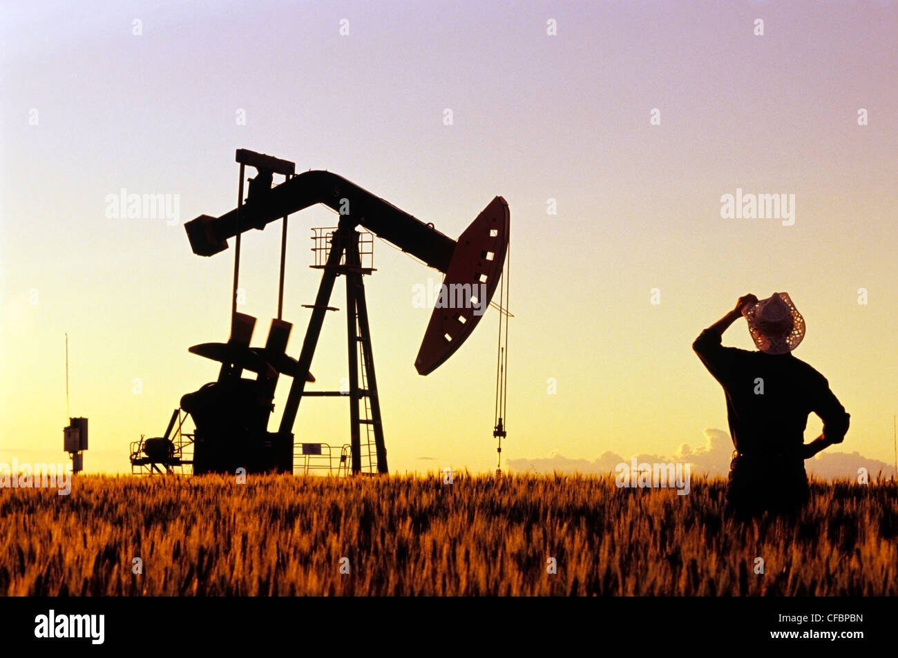 A farmer looks out over a maturing wheat crop with an oil pumpjack in the background near Carlyle, Saskatchewan, Canada Stock Photo