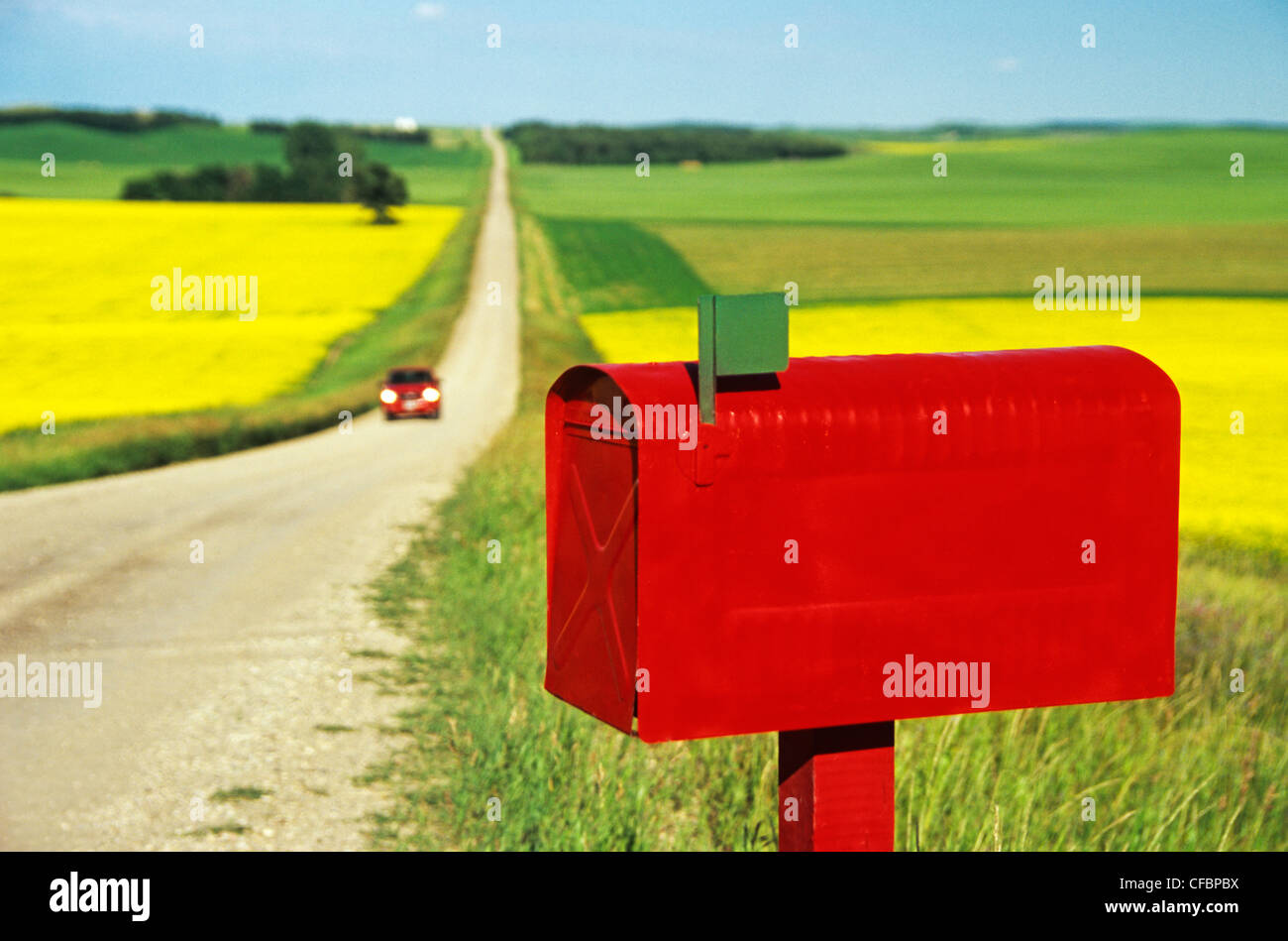 Red mailbox along country road with grain and canola fields in the background near Holland, Manitoba, Canada Stock Photo