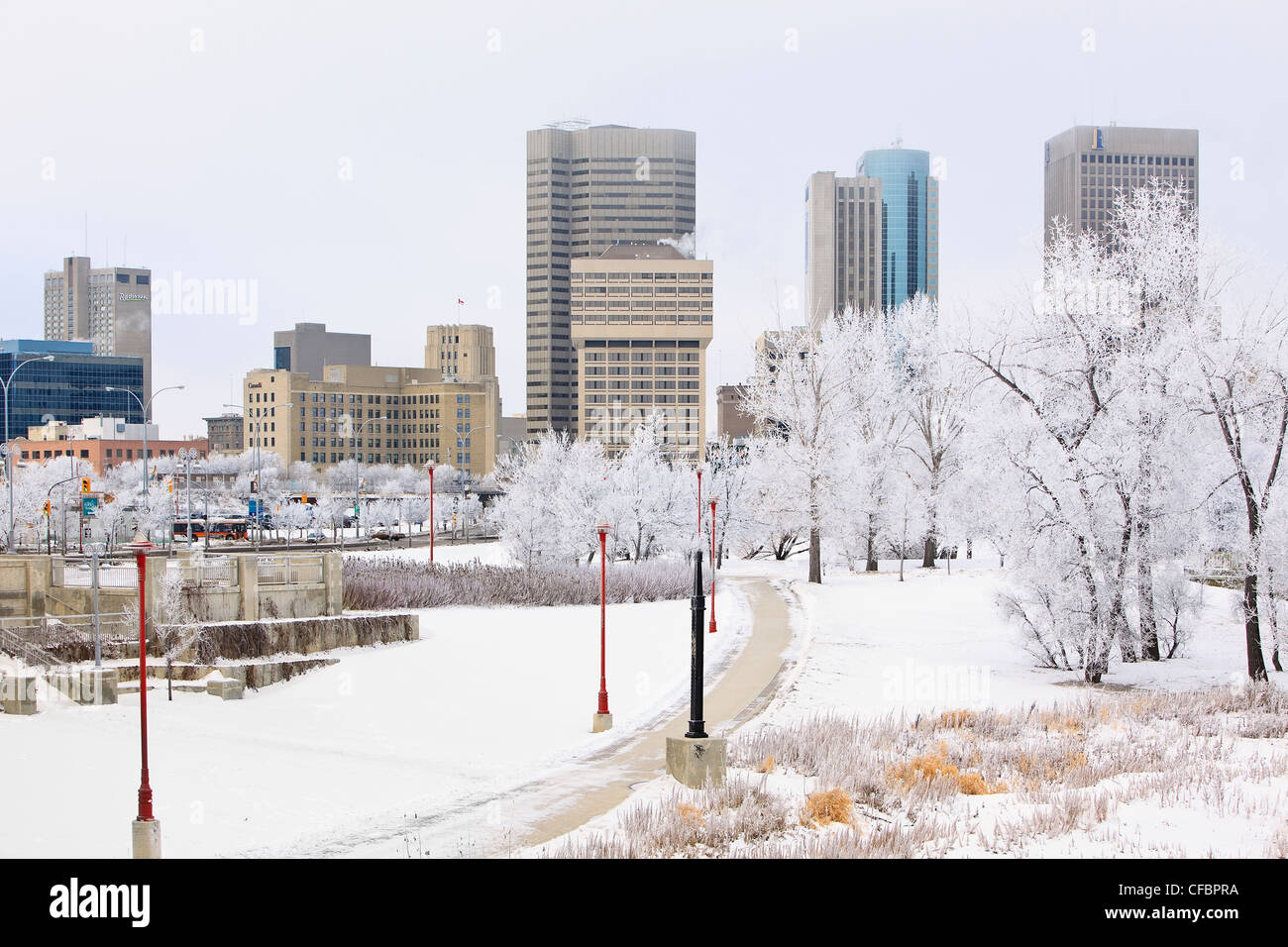 Winnipeg skyline on a scenic winter day. Trees covered in snow and