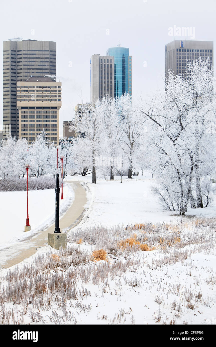 Winnipeg skyline on a scenic winter day. Trees covered in snow and