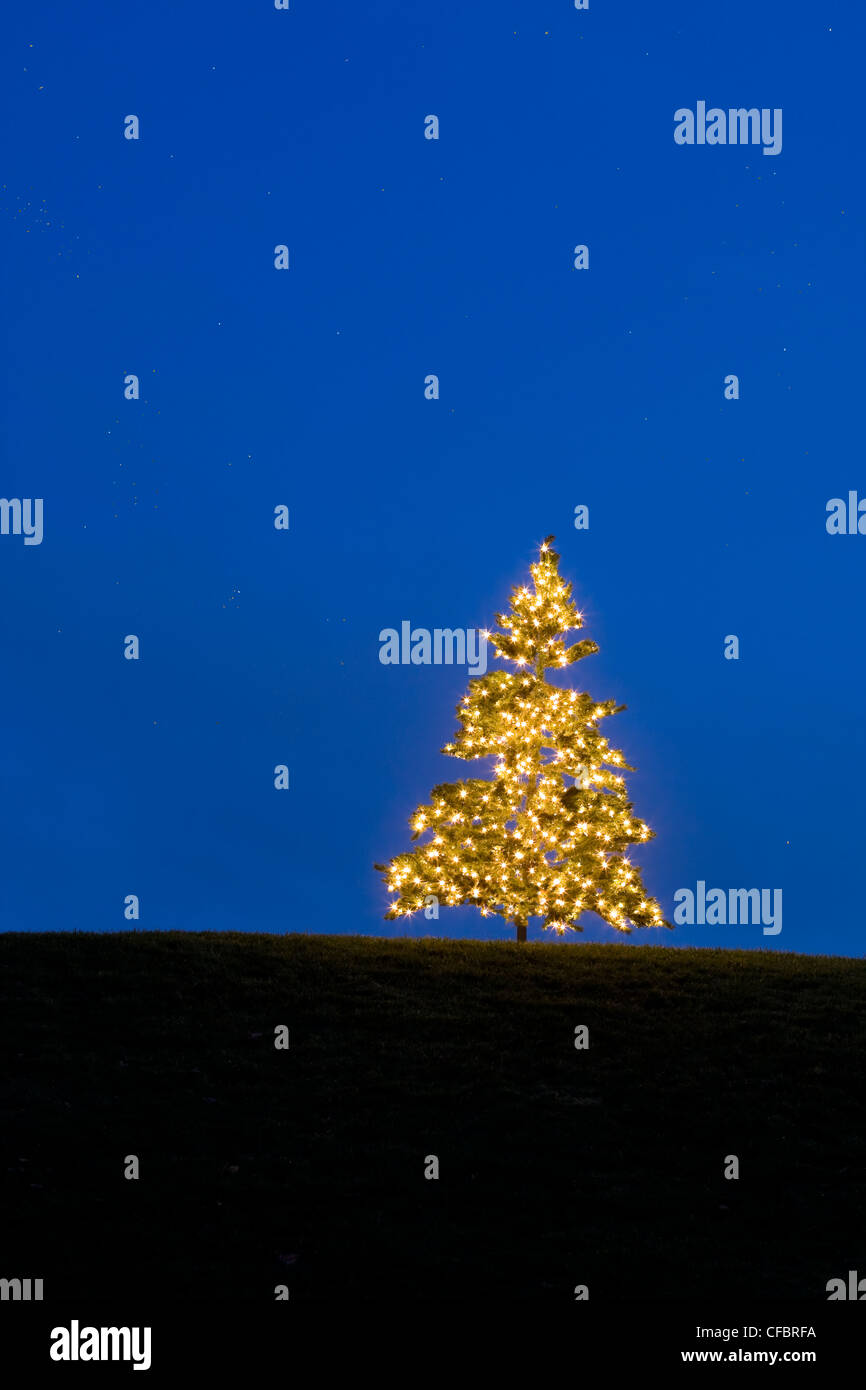 A lone Christmas tree lights on a hilltop creates an intersting design