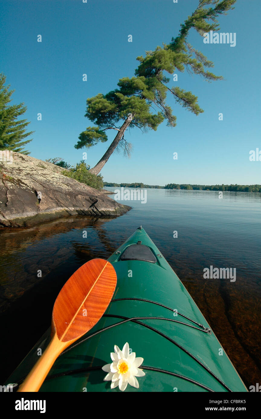 Kayak, Pine, Island, Kahshe Lake, Muskoka, Ontario Stock Photo Alamy