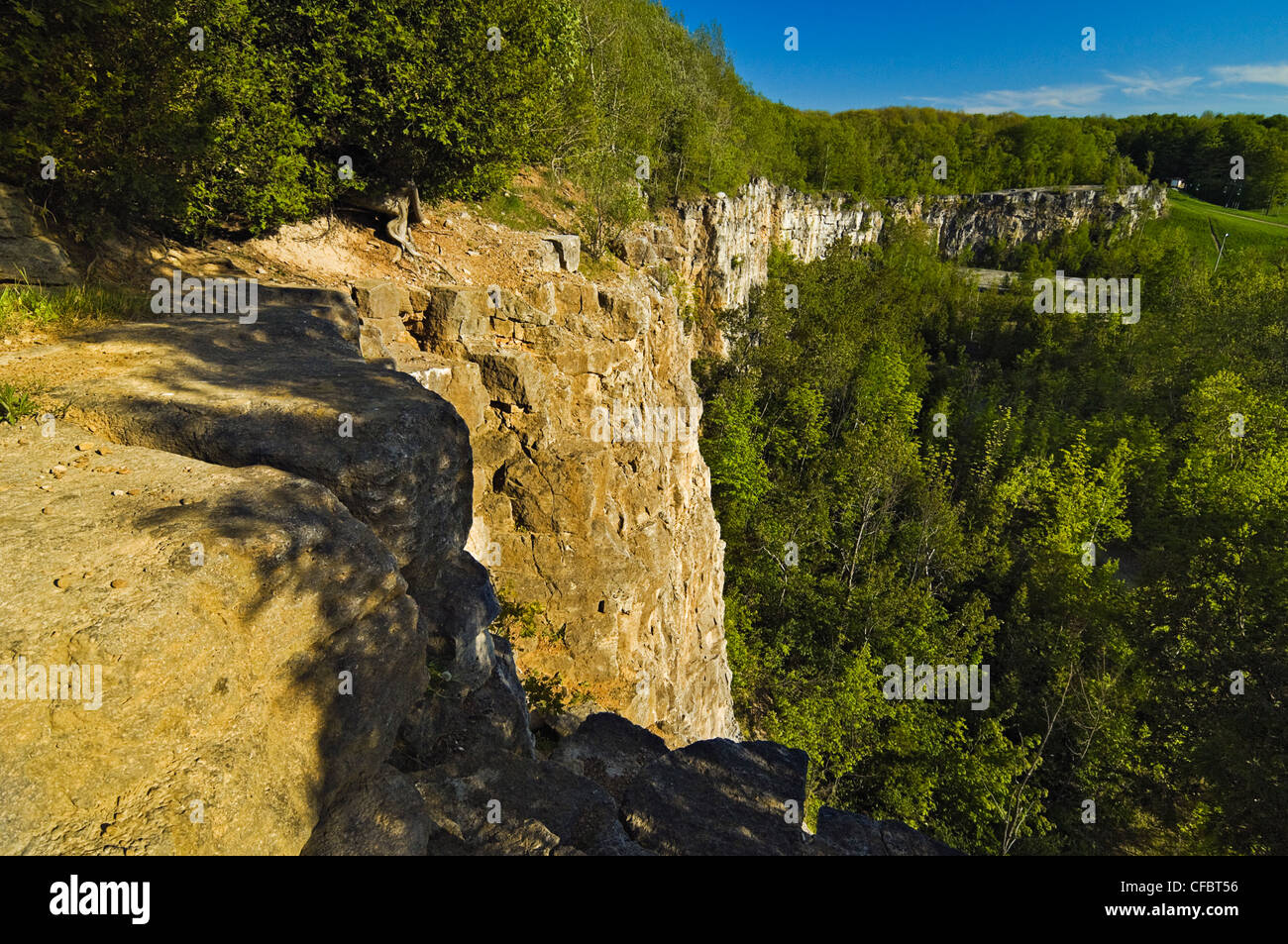 Niagara Escarpment limestone cliffs of Kelso/Glen Eden Conservation