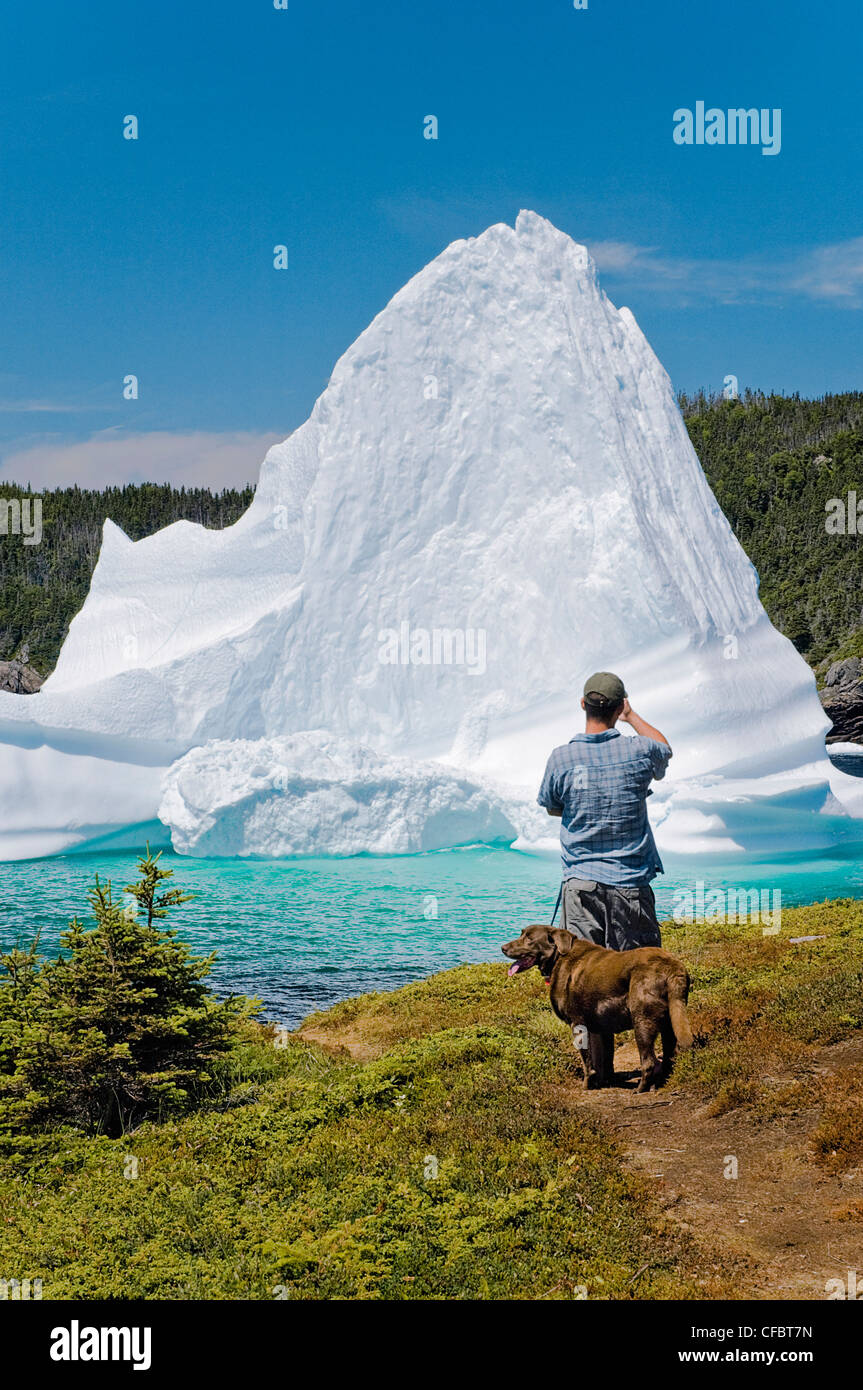 Man dog photographs iceberg floating Trinity Bay Stock Photo
