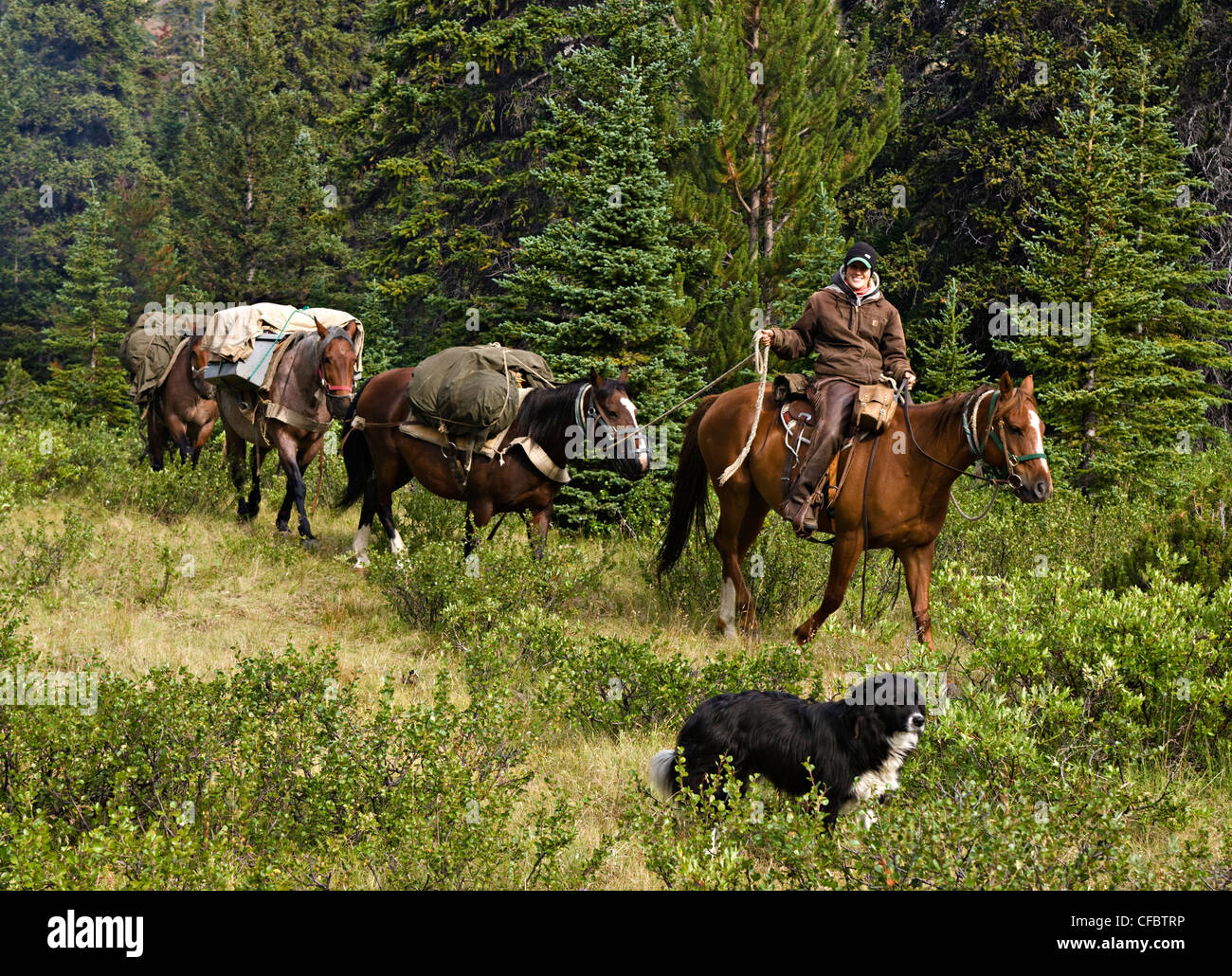 wrangler leading pack horses through the Illgachuz Mountains of Itcha