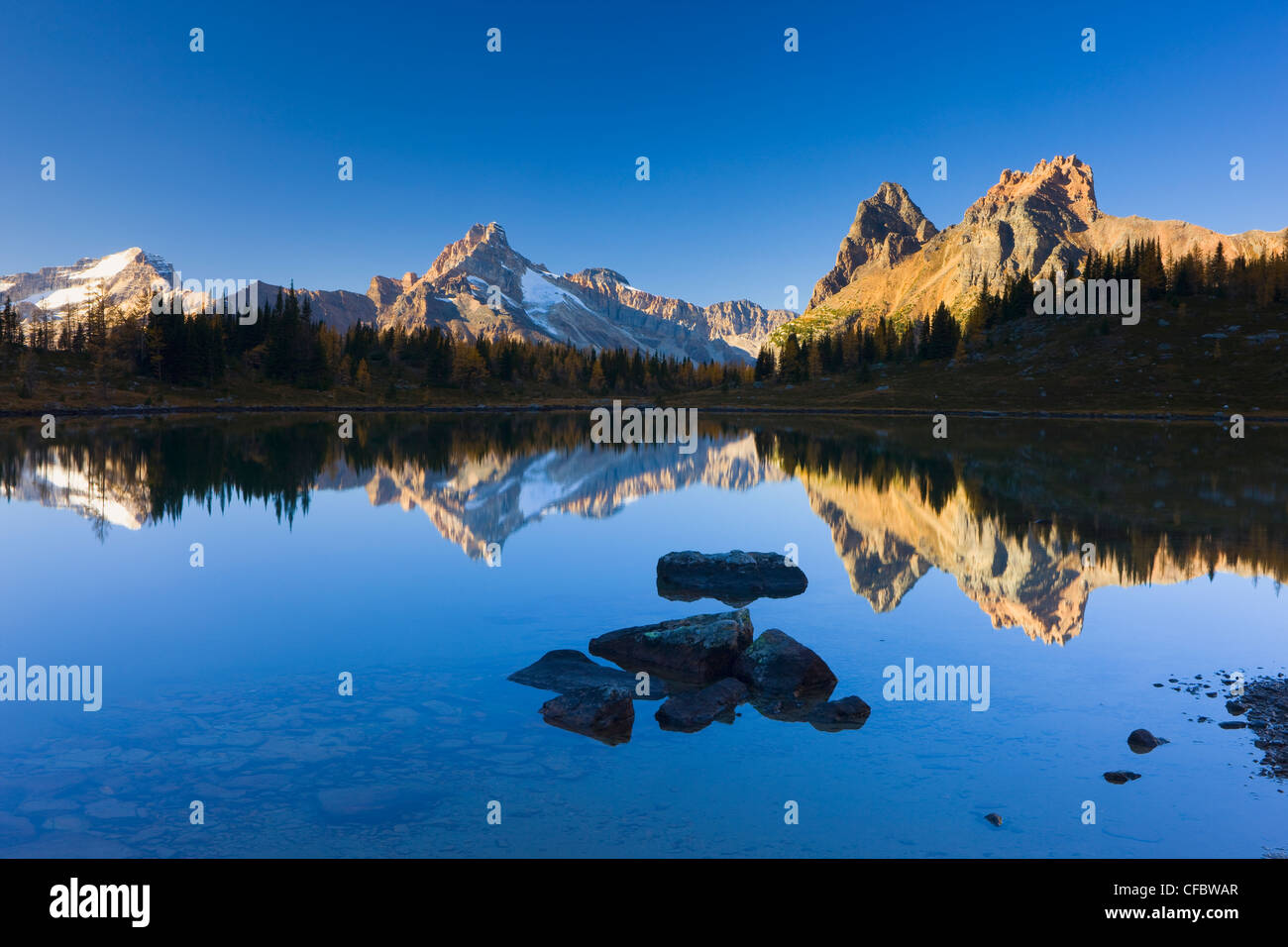 Opabin lakes hi-res stock photography and images - Alamy