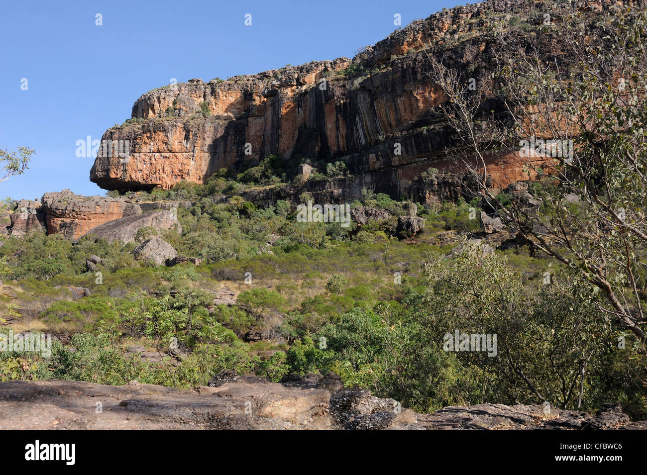 Kakadu hi-res stock photography and images - Alamy