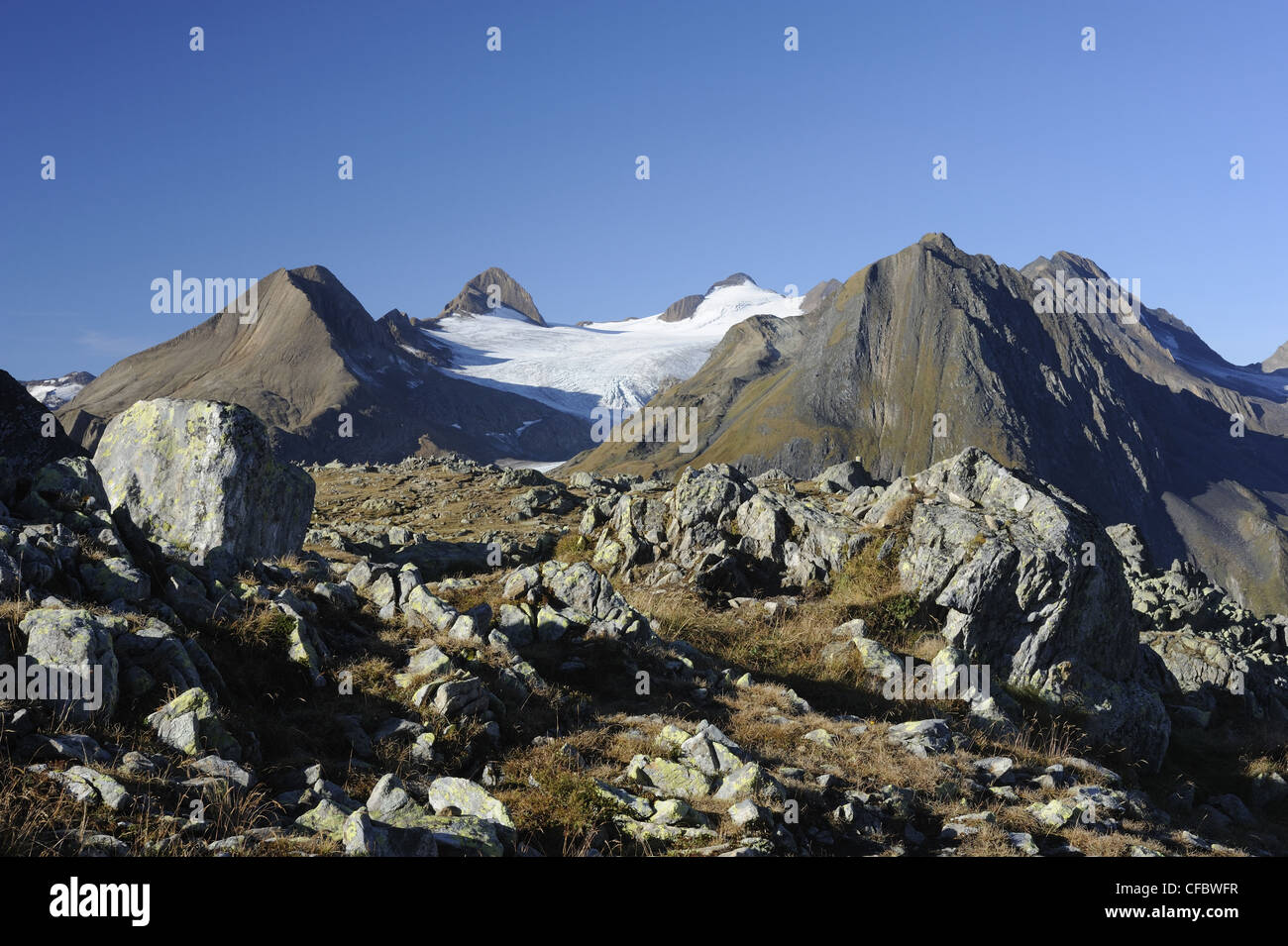 Swiss Alps, mountains, Fülhorn, Rothorn, Blinnenhorn, Gries glacier, Nufenen pass, Canton, Valais, Switzerland Stock Photo