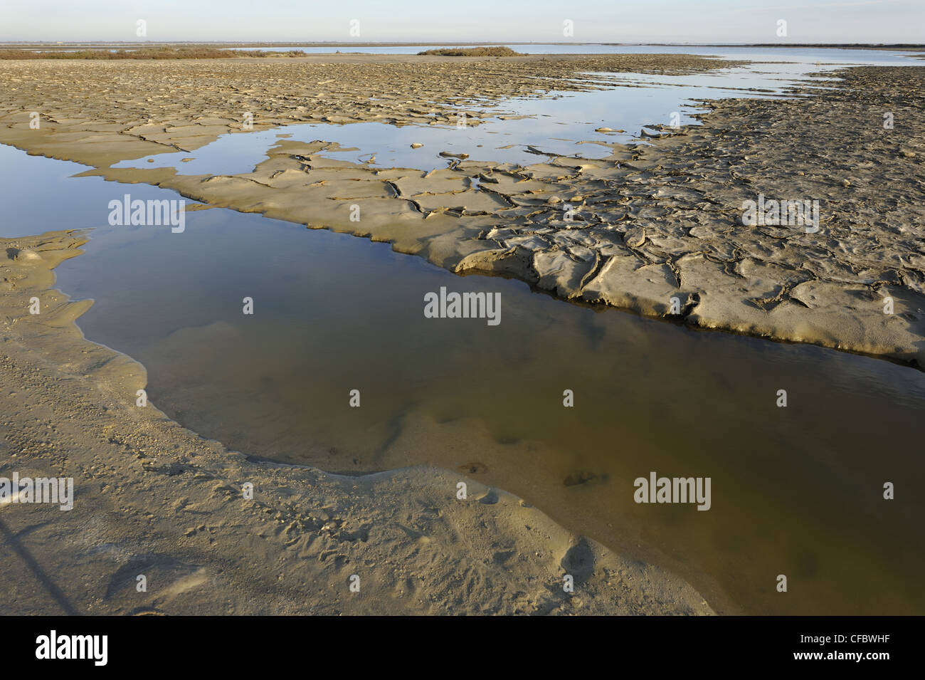 Brackish water lagoon, mud, Etang du Grand Rascaillon, Camargue, Department, Bouche-du-Rhône, France Stock Photo