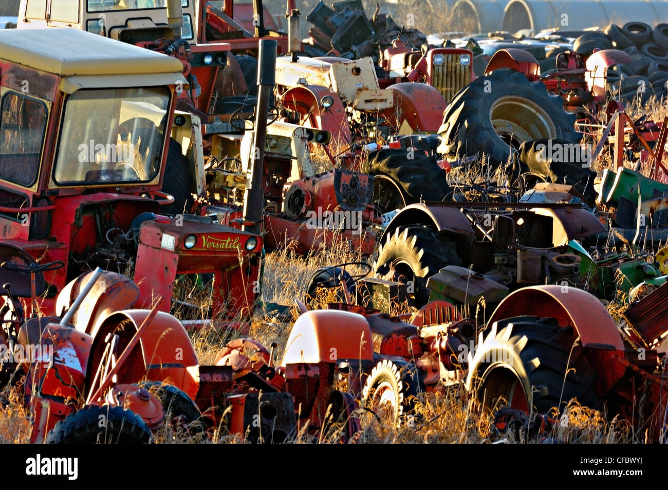 Field full of old farm tractor parts rusting and decaying - Stock Image