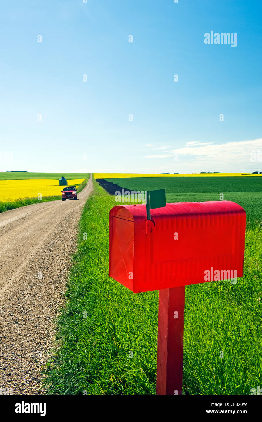 Country road between grain fields, Somerset, Manitoba, Canada Stock Photo