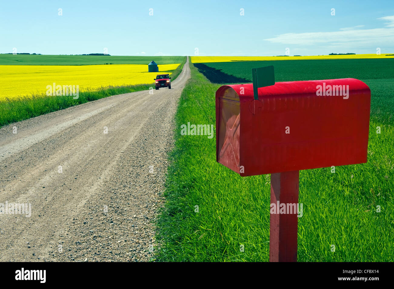Country road between grain fields, Somerset, Manitoba, Canada Stock Photo