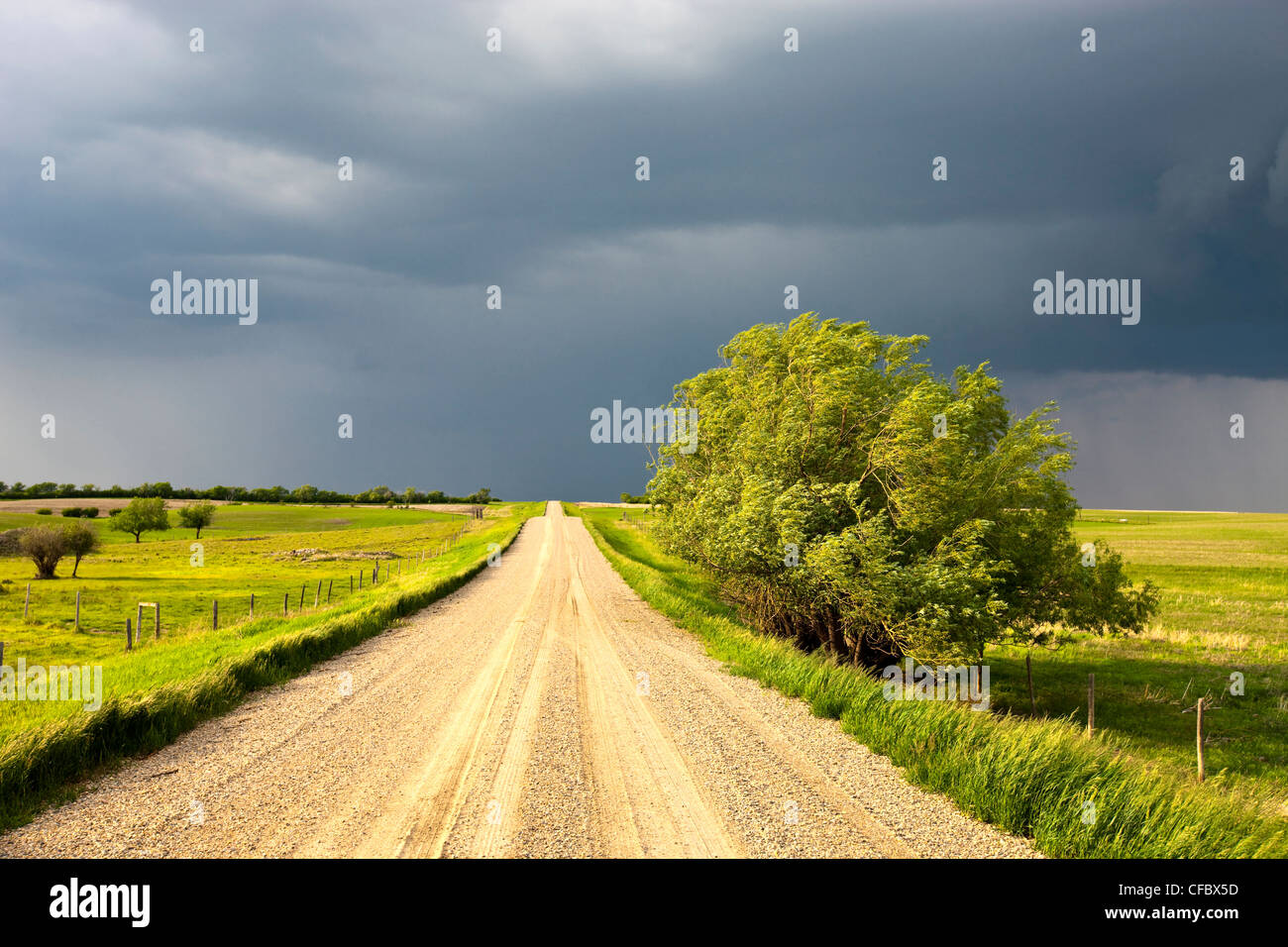 Storm Clouds Over Prairie Fields Saskatchewan Canada Stock Photo Alamy