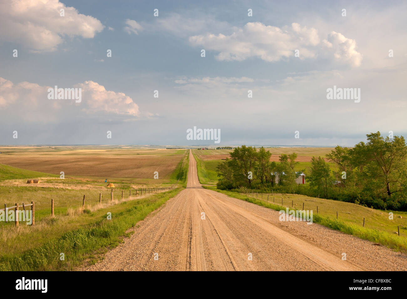Dirt road through the prairies, Saskatchewan, Canada. Stock Photo