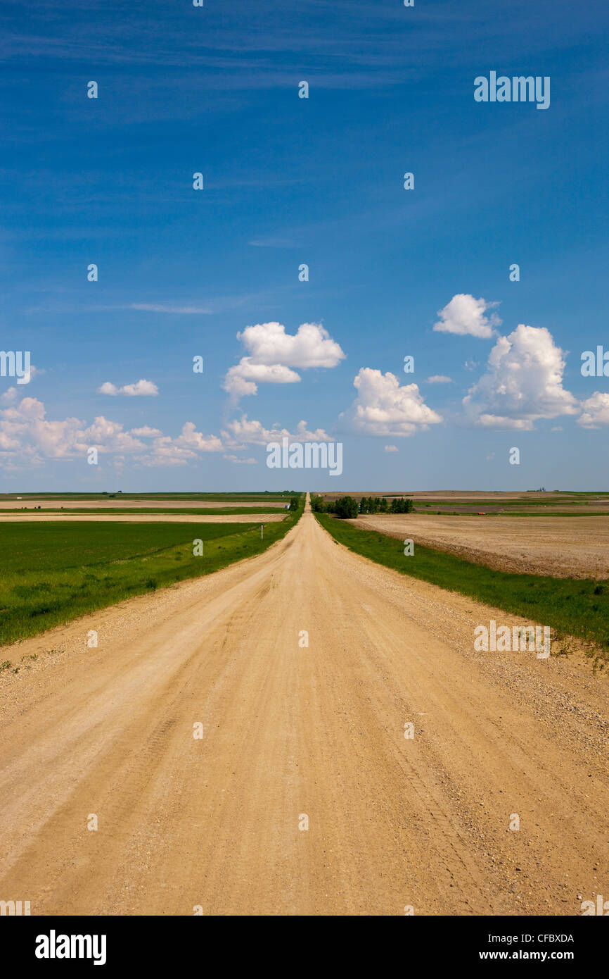 Oyen hires stock photography and images Alamy