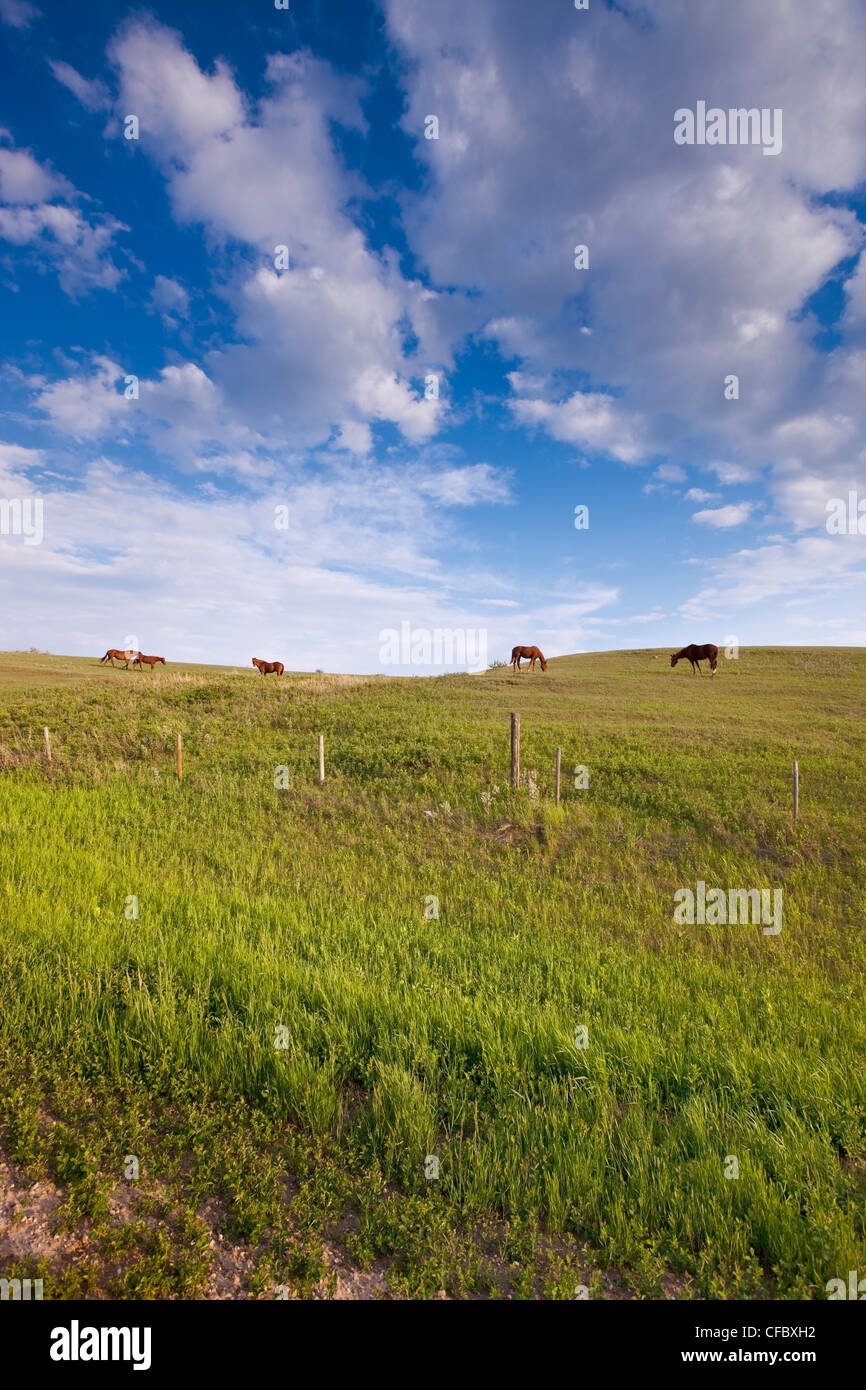 Drinkwater hires stock photography and images Alamy