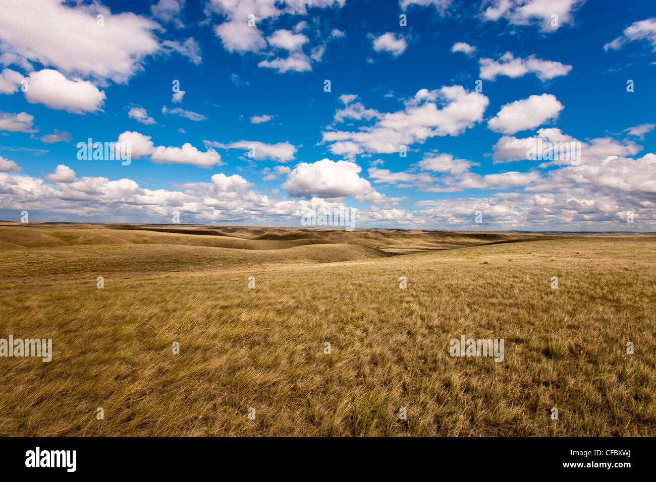 Saskatchewan Country High Resolution Stock Photography and Images - Alamy