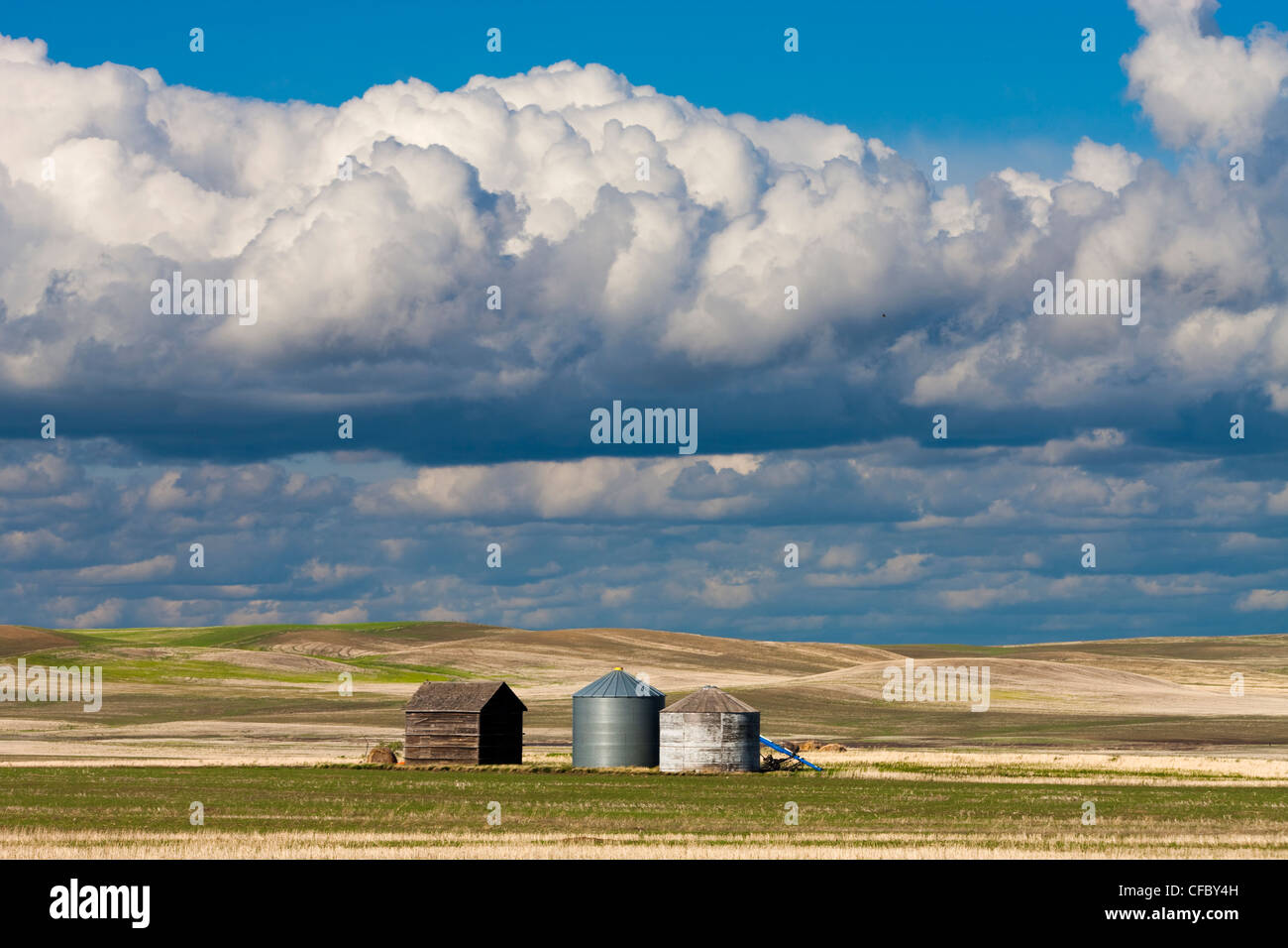 Grain silos on farmland in Billimun, Saskatchewan, Canada. Stock Photo