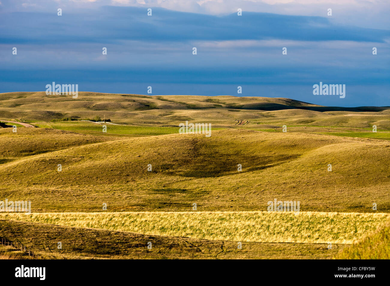 Rolling hills near Mossbank, Saskatchewan, Canada Stock Photo Alamy