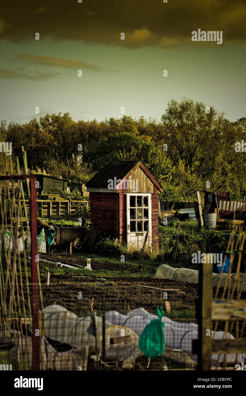 Ramshackle shed hi-res stock photography and images - Alamy