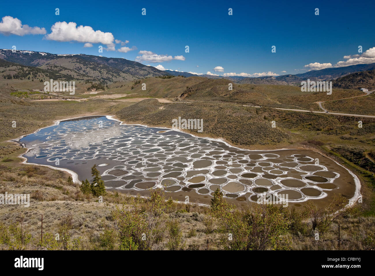 Spotted Lake Near Osoyoos Canadoriginally Stock Photo Alamy