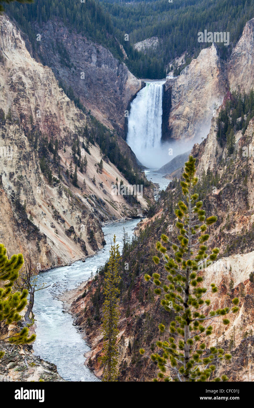 USA, United States, America, Wyoming, Yellowstone, National Park, Lower Yellowstone Waterfalls, Artis Point, Water, deep, famous Stock Photo