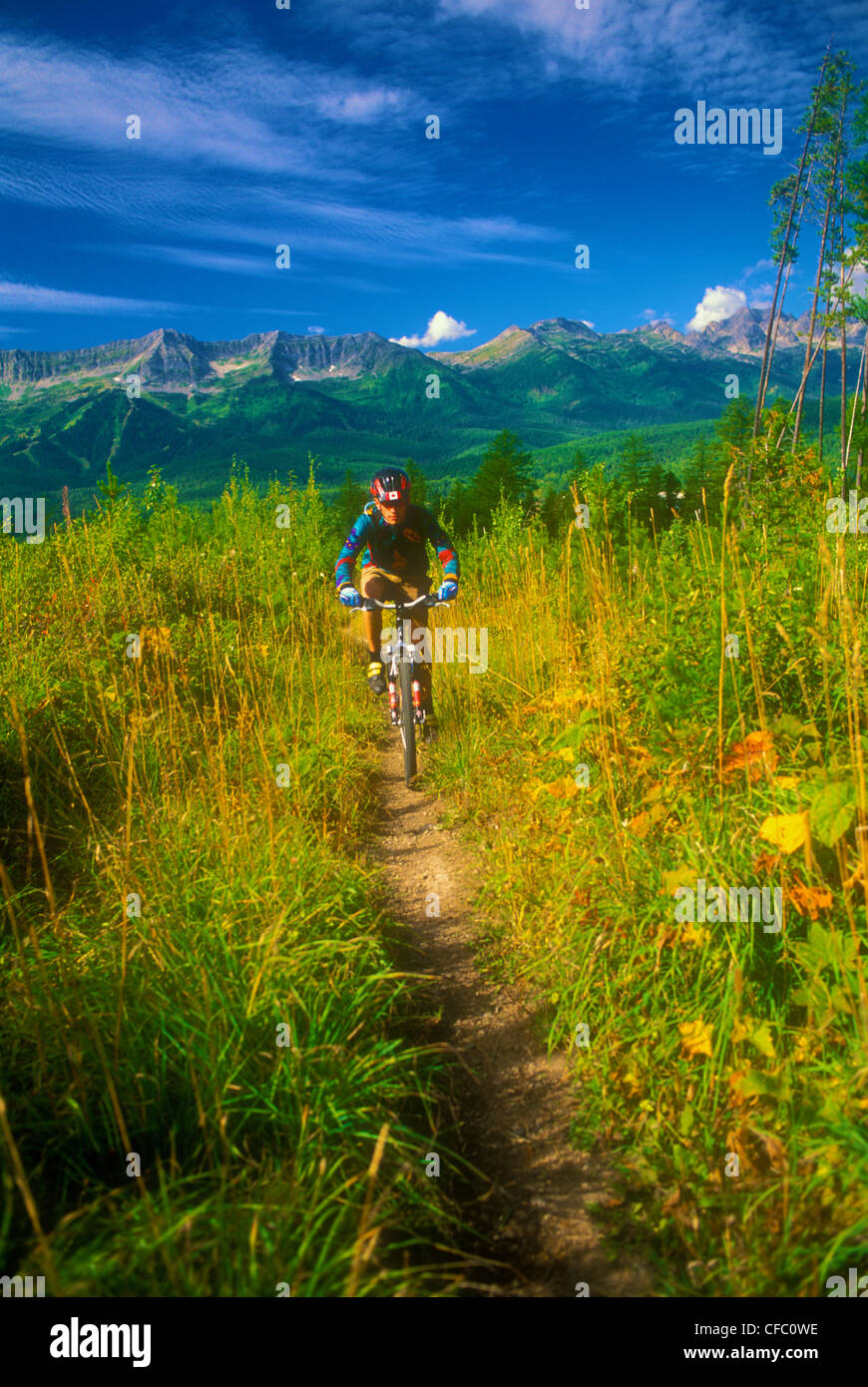 Mountain Biking - Elk Valley Fernie, BC. Canada. (MR) Stock Photo