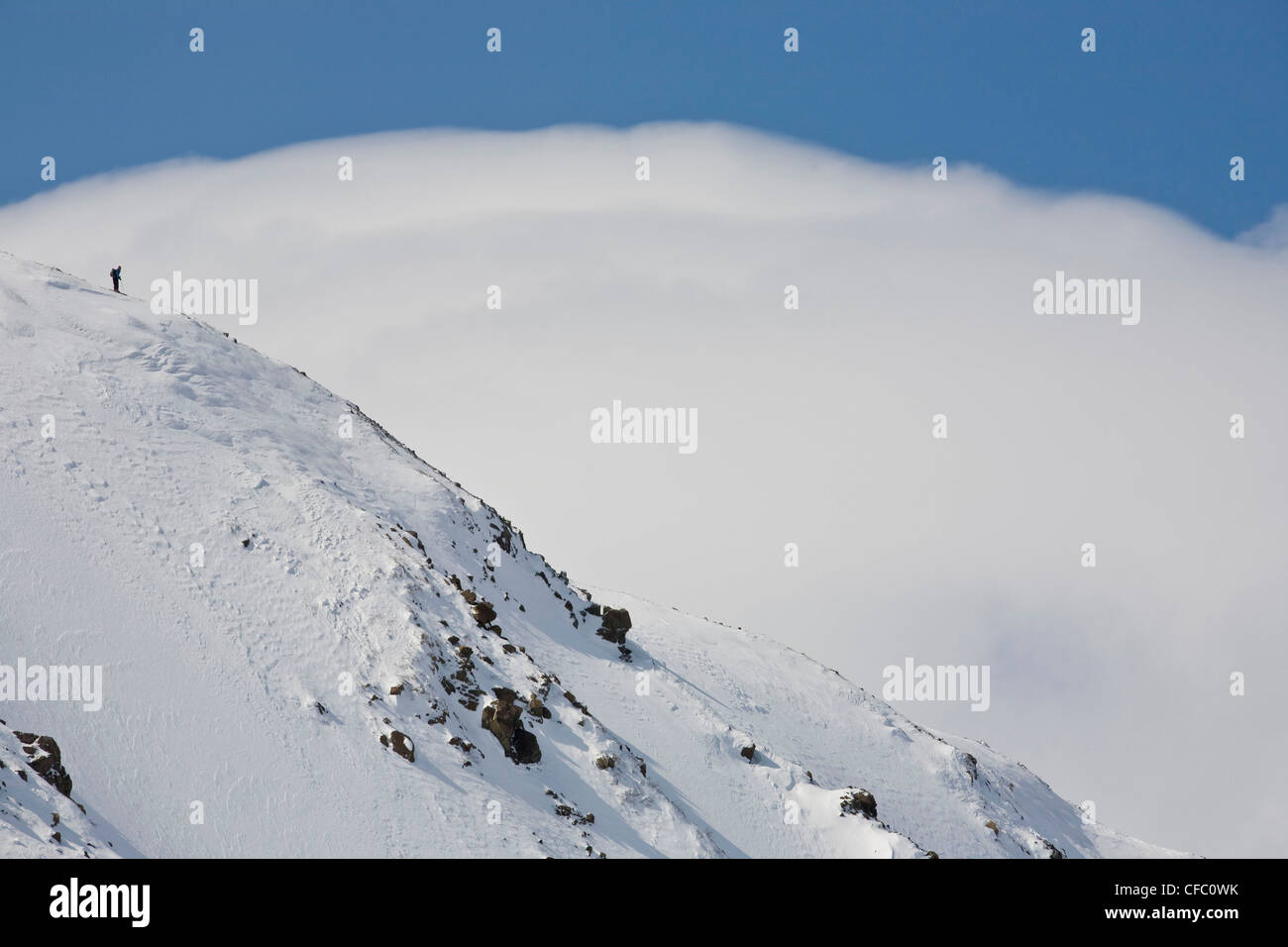 Backcountry skier prepares for a ski descent in the Hakuba Backcountry, Japan Stock Photo