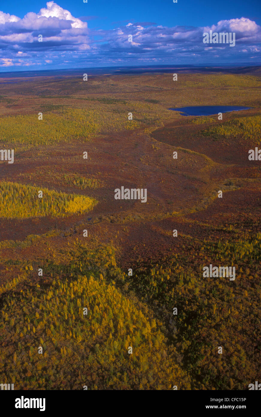 Boreal forests aerial hi-res stock photography and images - Alamy