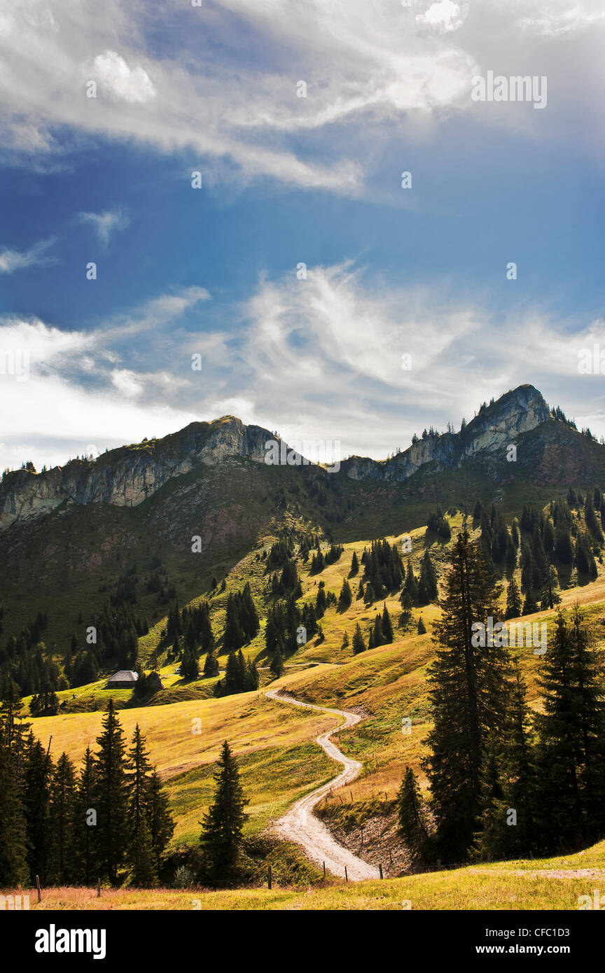 mountain landscape, mountainous landscape, mountain scenery, mountainscape, spruce, Glaubenbielen, canton Obwalden, landscape, P Stock Photo