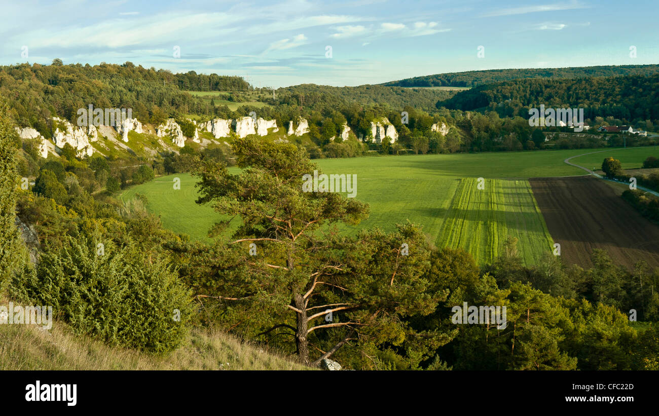 Altmühltal, Nature Park, Bavaria, Upper Bavaria, Germany, riverscape, pine, cultural landscape, scenery, Pinus sylvestris, Solnh Stock Photo