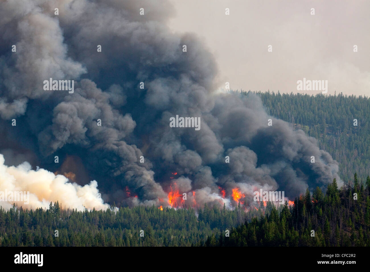 Forest Fire imagery in the Chilcotin region of British Columbia Canada Stock Photo Alamy