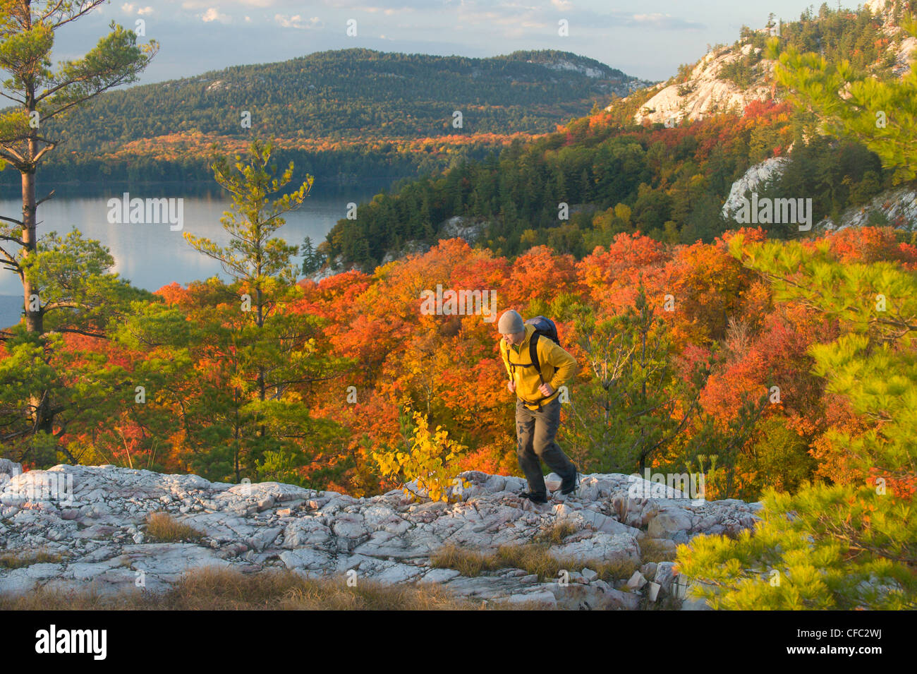 A male hiker on white quartzite ridges in Killarney Provincial Park ...