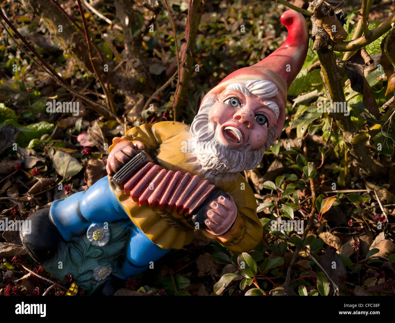 garden, garden gnome, garden goblin, lawn gnome, accordion, concertina, Harmonica, Ittigen, canton Bern, allotment, allotgarden, Stock Photo