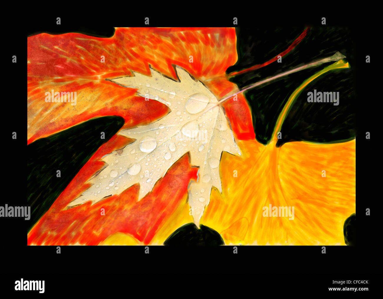Painterly maple leaves. Stock Photo