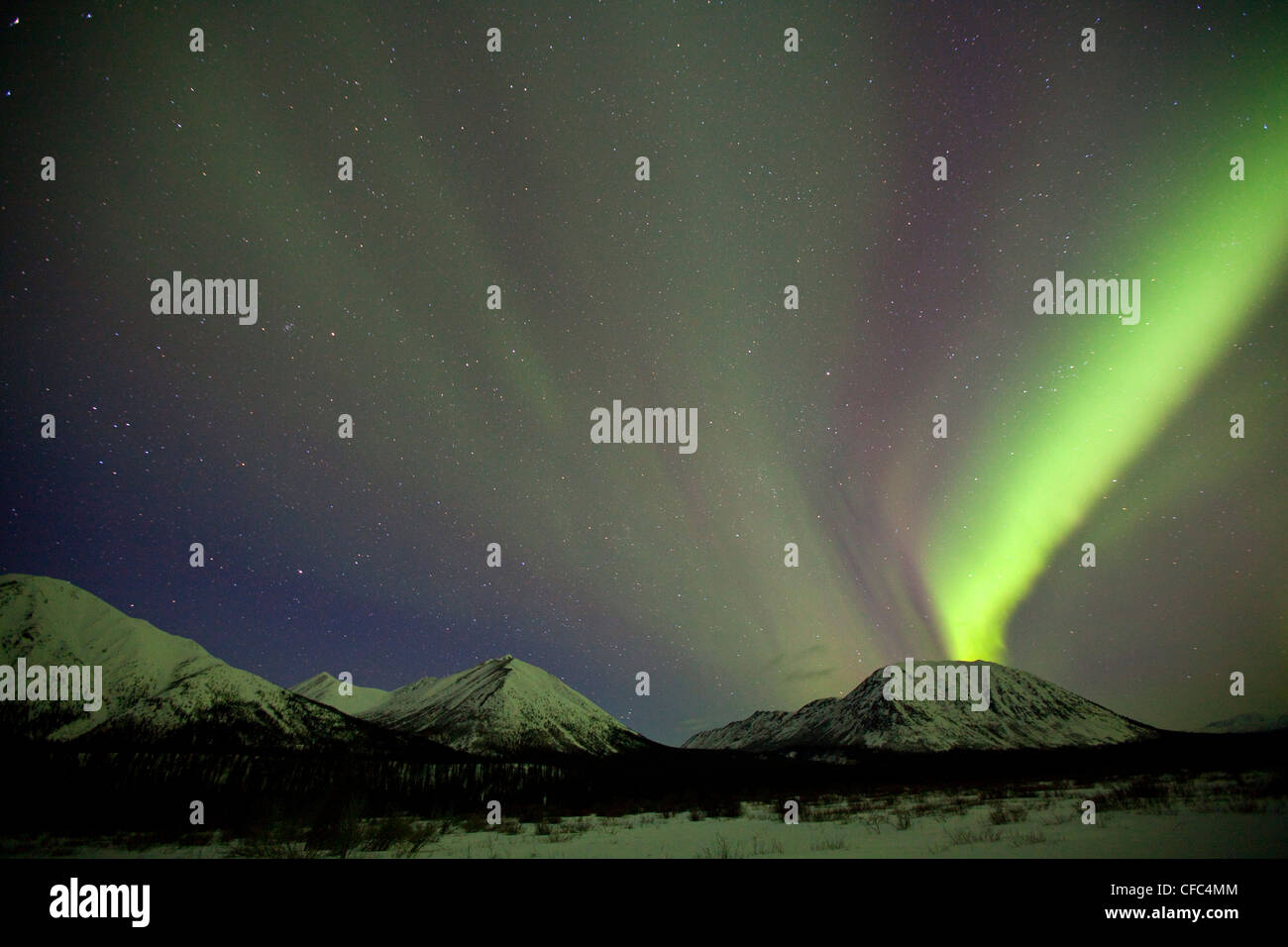 Aurora borealis or northern lights above the mountains outside of Whitehorse, Yukon Territory, Canada. Stock Photo