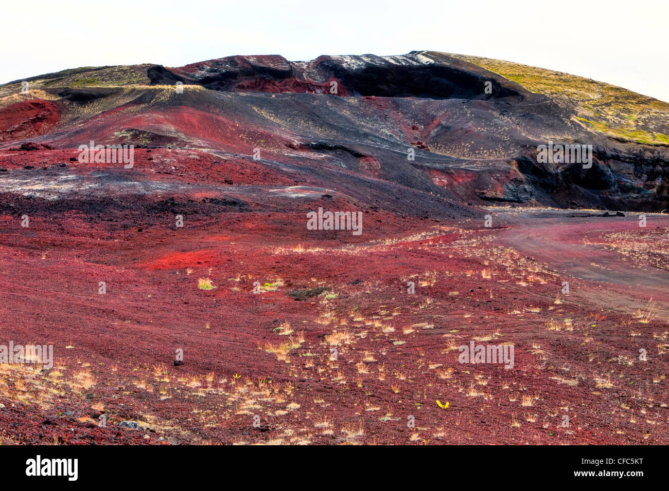 Colors in Lavaflows, Bjarnarflag, Iceland Stock Photo
