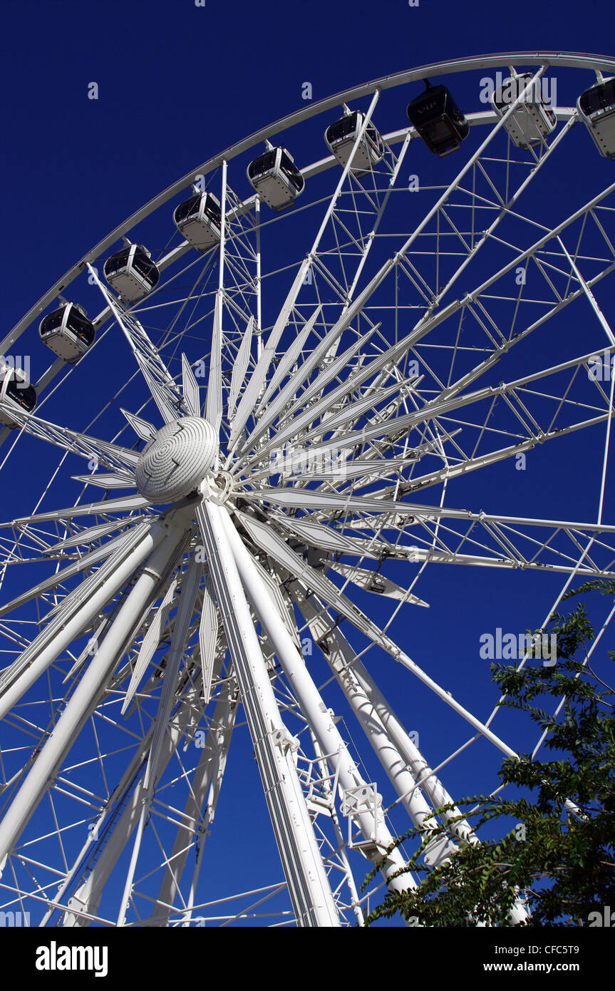 Big wheel waterfront cape town hires stock photography and images Alamy