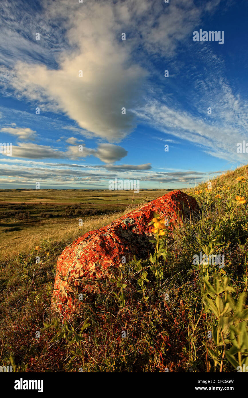 Lichen covered glacial erratic and clouds over Frenchman River Valley, Grasslands National Park, Saskatchewan. Stock Photo