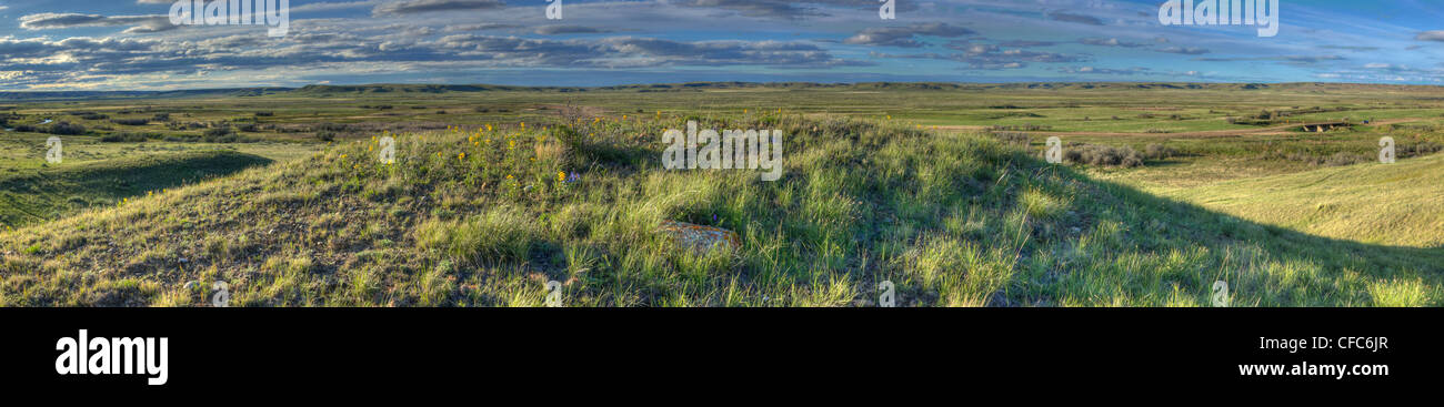 Panoramic view of Frenchman River Valley, Grasslands National Park, Saskatchewan. Stock Photo