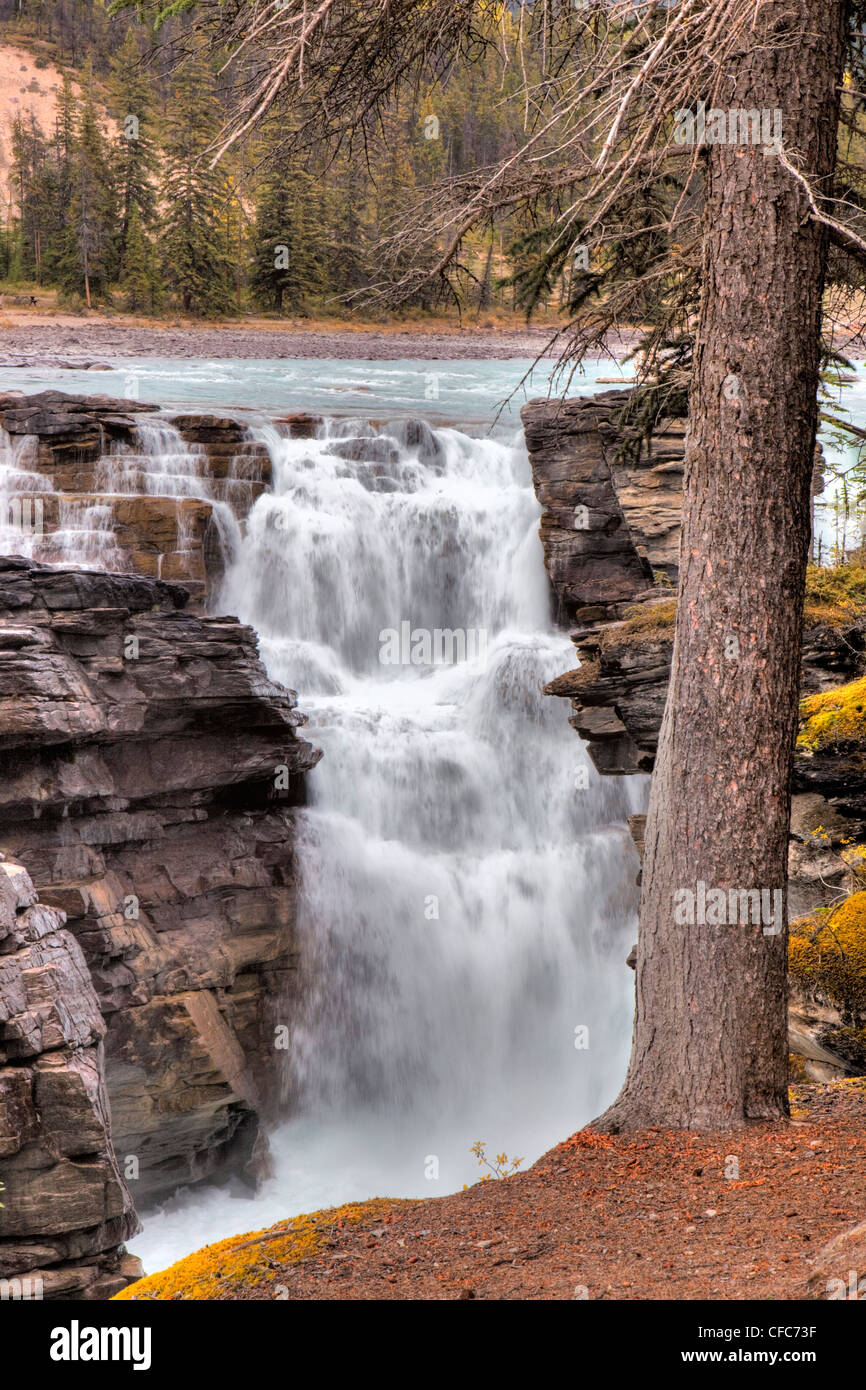 athabasca-falls-jasper-national-park-alberta-canada-stock-photo-alamy