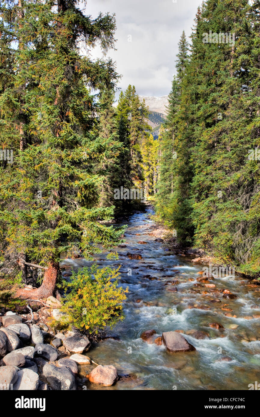 Baker Creek, Banff National Park, Alberta, Canada Stock Photo Alamy