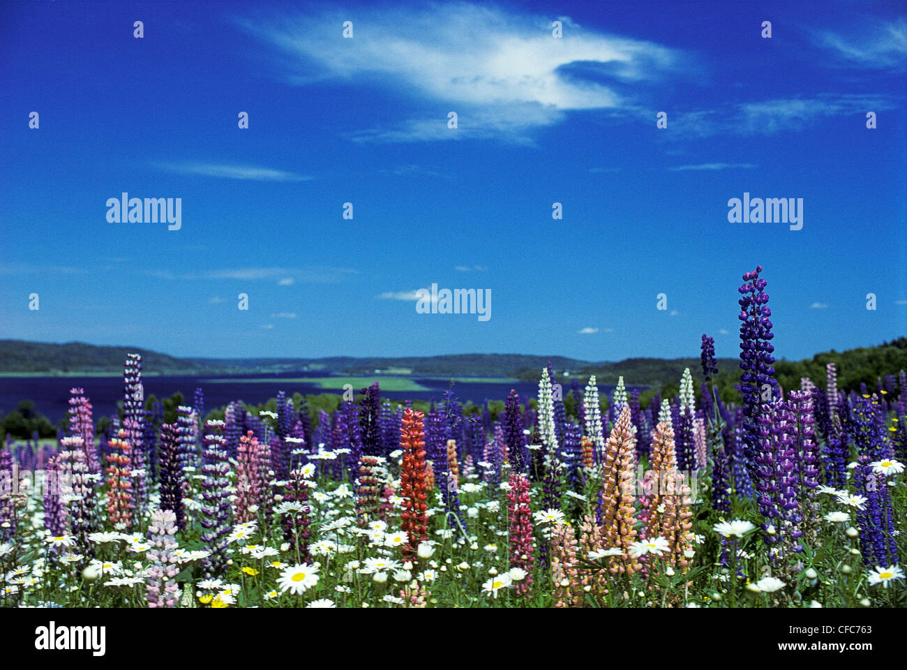 Belleisle hires stock photography and images Alamy