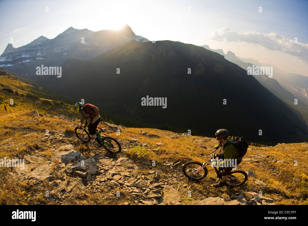 Mountain bikers riding in Kananaskis, AB Stock Photo Alamy