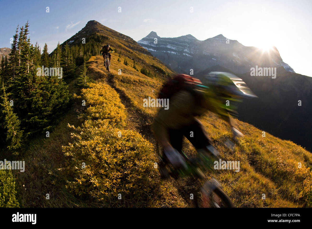 Mountain bikers riding in Kananaskis, AB Stock Photo Alamy