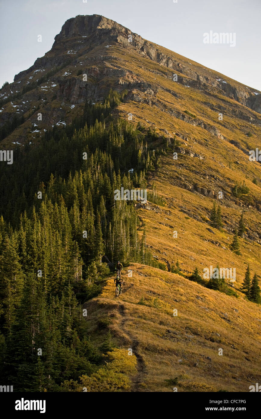 Mountain bikers riding in Kananaskis, AB Stock Photo Alamy
