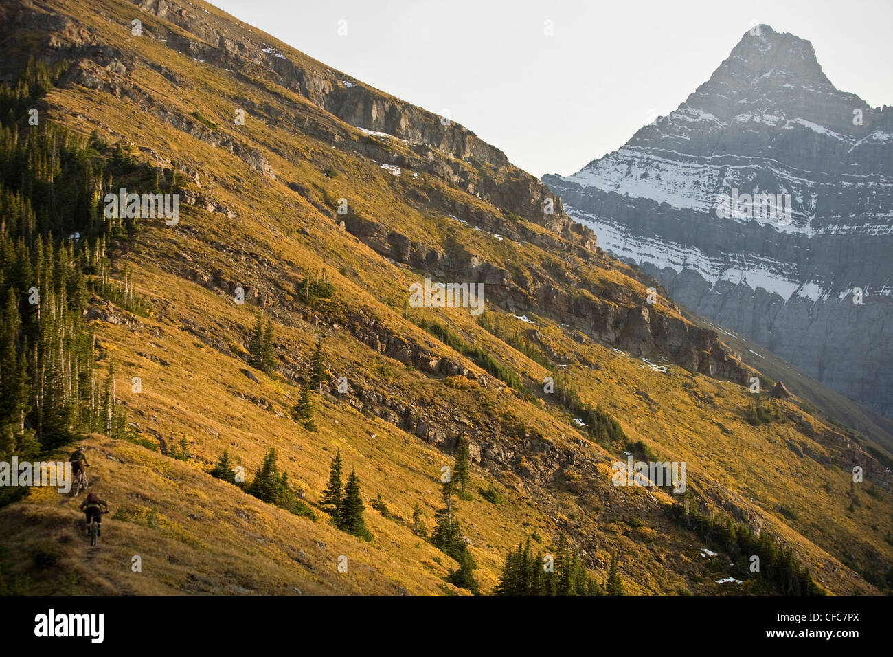Mountain bikers riding in Kananaskis, AB Stock Photo Alamy
