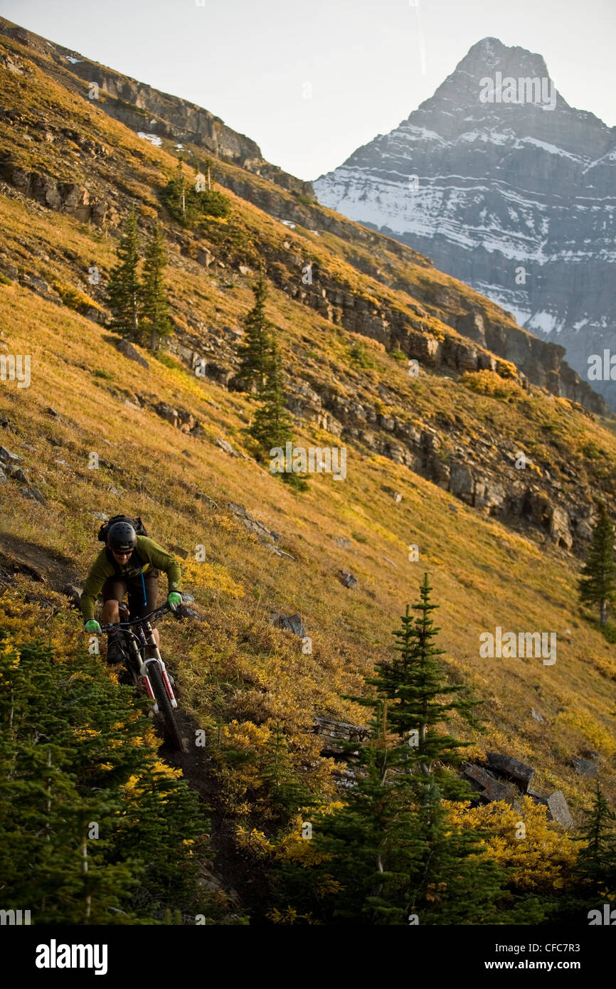 A mountain biker rides in Kananaskis, AB Stock Photo Alamy