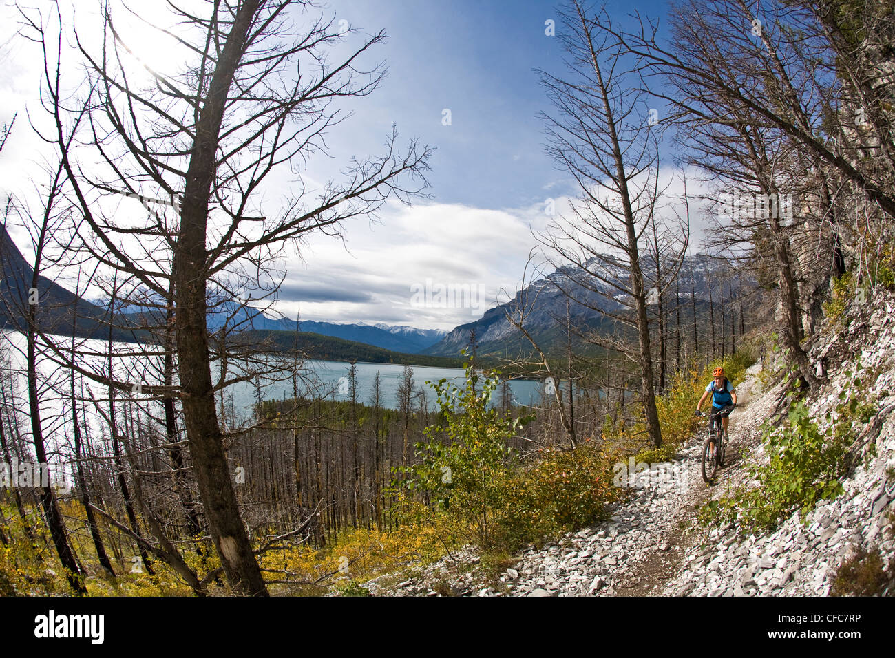 A female mountain biker rides the classic singletrack of Lake Minnewanka, Banff National Park, AB Stock Photo